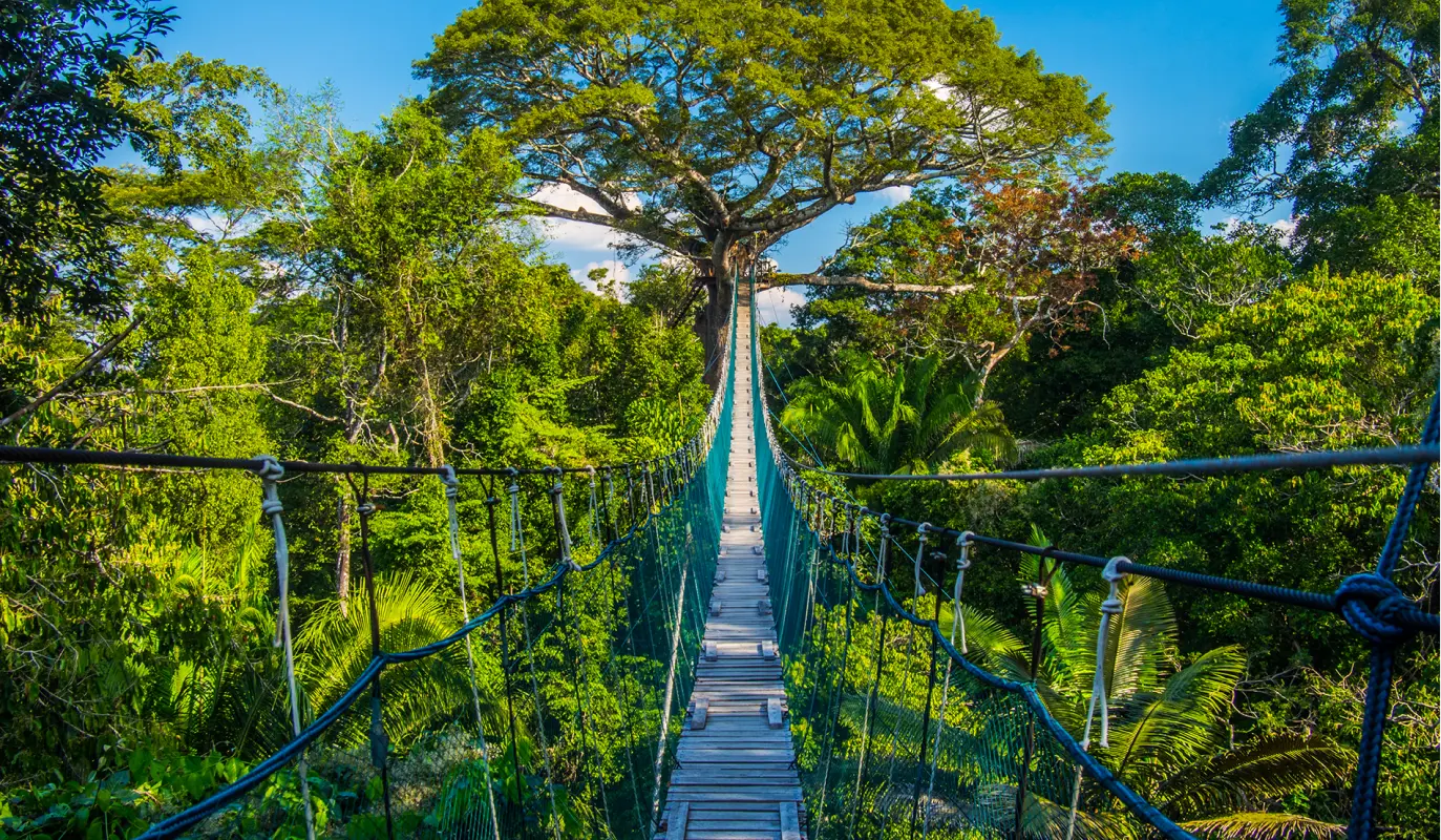 Imagen de Del Pacífico al Amazonas